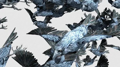 Crow, Bird, Bat, 3D Render, With Alpha Channel Stock Footage 277157575