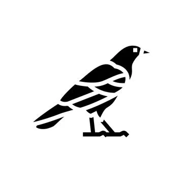 Crow bird glyph icon vector illustration Stock Illustration