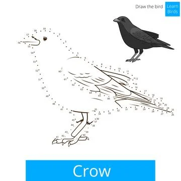 Crow bird learn to draw vector Stock Illustration