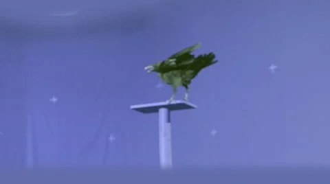 Crow on blue screen Stock Footage 48224331
