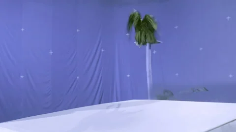 Crow on blue screen Stock Footage 48224374