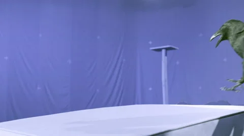Crow on blue screen Stock Footage 48224775