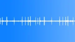 Crow Caws in the Woods in the MorningSound Effect