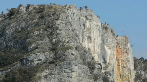 Crow circling steep cliff Stock Footage 43760884