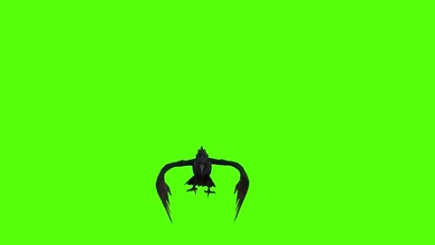 Crow claws Attack Green Screen Animation 4K Rendering Stock Footage 295556570