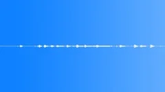 Crow Cry in the City Yard Sound Effect