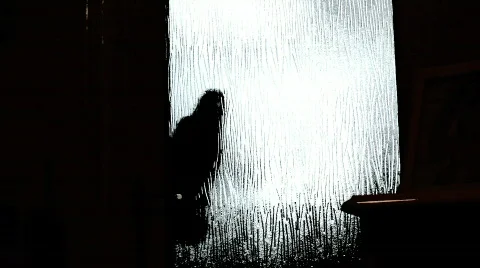 Crow at the door Stock Footage 139798