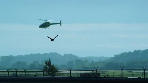 Crow flying with helicopter in background Vídeos de archivo 147281090