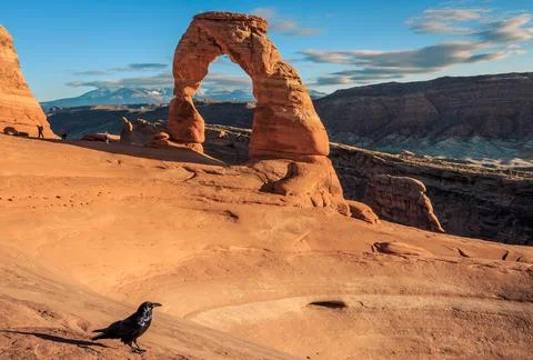 Crow in Front of Delicate Arch on a Beautiful Sunny Day, Arches National Park Stock Photos