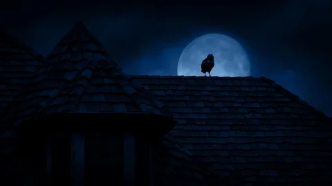 Crow On Gothic Rooftop At Night | Stock Video | Pond5