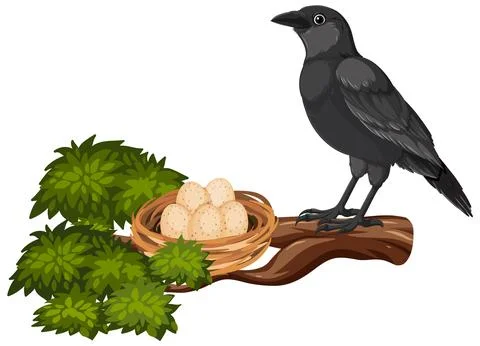 Crow Guarding Nest on a Branch Stock Illustration