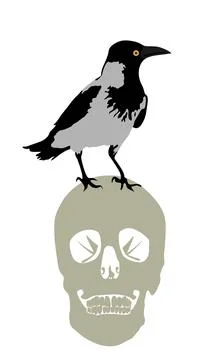 Crow on human head skull vector illustration isolated on white Stock Illustration