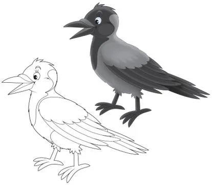 Crow Stock Illustration