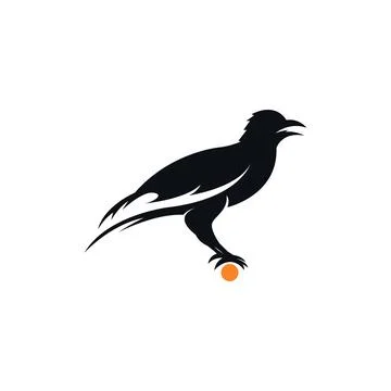 Crow Stock Illustration