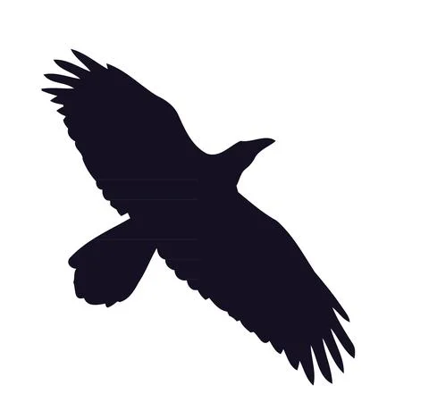 Crow Stock Illustration