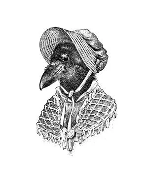 Crow lady or dame. Character in a hat. Fashionable Aristocrat. Hand drawn bird Stock Illustration