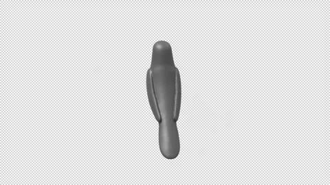 Crow - Loop Alpha HD ProRes Stock Footage 327723517