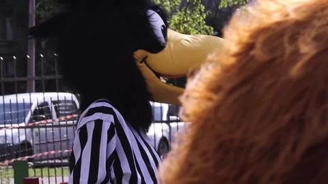 Crow Mascot Dancing Stock Footage 262562579
