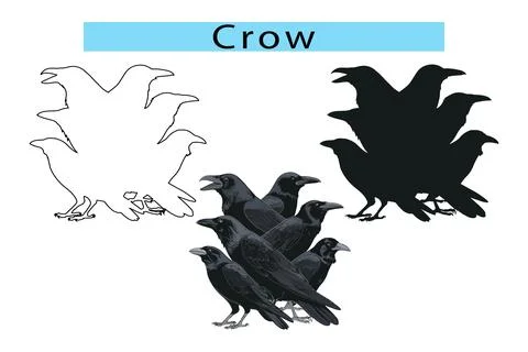 Crow outline vector illustration in white background, Crow silhouette, Rook.. Stock Illustration