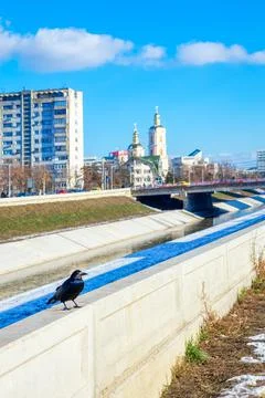 Crow on the parapet Stock Photos