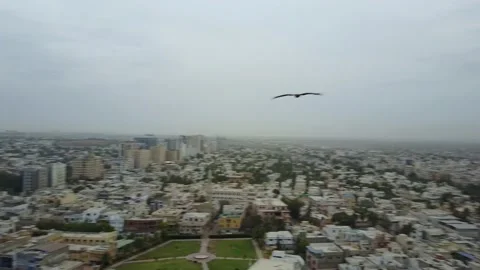 Crow passing by my drone Stock Footage 149850163
