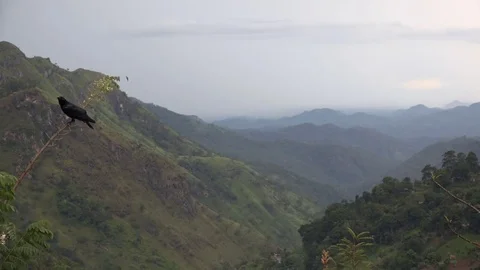Crow perched over mountain range as storm approaches Stock Footage 73424044