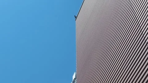 Crow perched on top of tall building against blue sky Stock Footage 340547928
