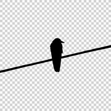 A crow perched on a wire Illustrazione stock