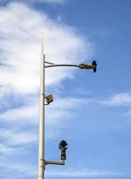 A Crow Perching on a Lamppost Stock Photos