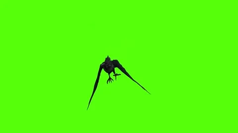 Crow Pounce Green Screen Animation 4K Rendering Stock-Footage 295556568