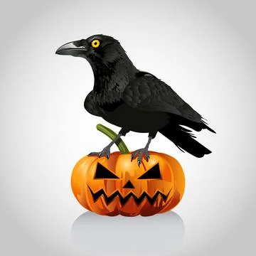Crow on a pumpkin Stock Illustration