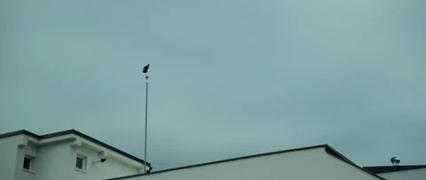 Crow resting on rooftop lightning protection under a dramatic gray sky. Con.. Stock Footage 336983270