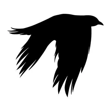 100,000 Tattoo of crows Vector Images | Depositphotos