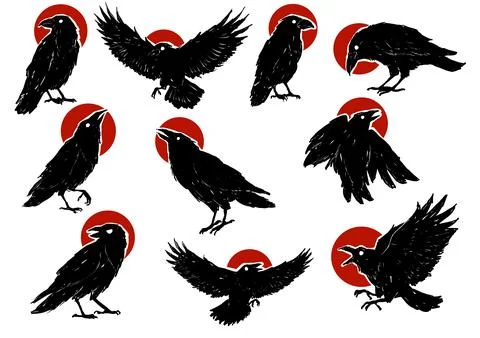 Crow silhouettes set, black ink collection of various crows and ravens with.. Stock Illustration