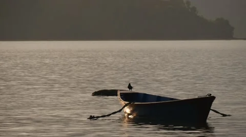 Crow sits on the side of the boat Stock Footage 62087319