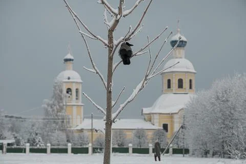 A crow sits on a tree in front of the Peter and Paul Church in the Yasenevo Stock Photos