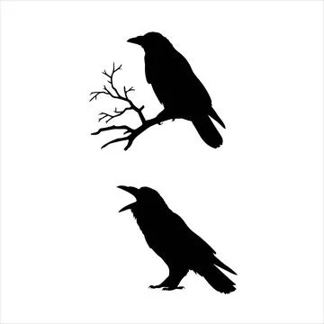 Crow sitting alone and on a tree silhouette Illustrazione stock
