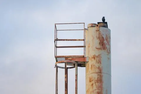 Crow sitting on top of a chimney Stock Photos