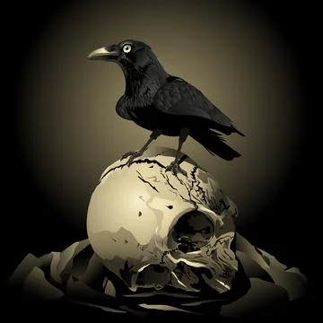 Crow with skull vector.  Raven on a broken skull. Stock Illustration