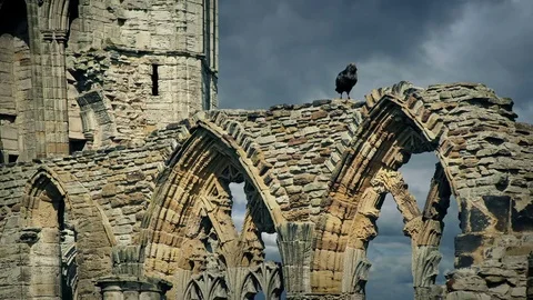 Crow Squawks On Abbey Ruins Stock Footage 77071941