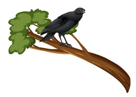 Crow standing on tree branch Stock Illustration