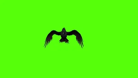 Crow Strike Green Screen Animation 4K Rendering Vídeos de archivo 295556541