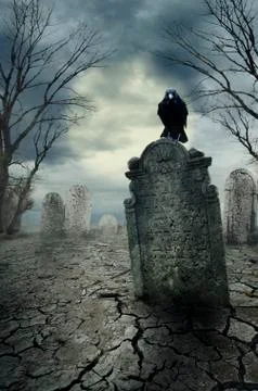 Crow on the tombstone Stock Photos