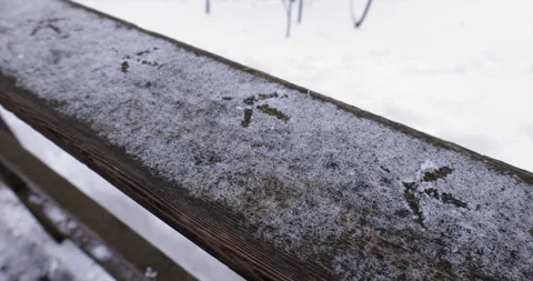 A crow tracks in the snow on a wooden path Video stock 263664572