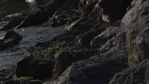 Crow waves crashing on the rocks Stock-Footage 311514448