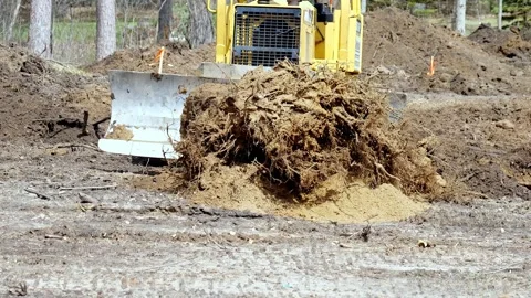 CROW WING CO, MN  10 MAY 2023: Tree stump pushed by bulldozer. Stock Footage 249486807