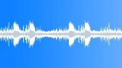CrowAndBirds Sound Effect