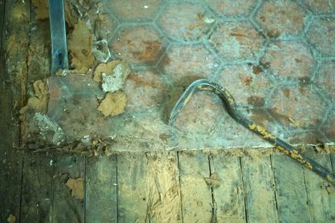 Crowbars for remooving old floor. Stock Photos