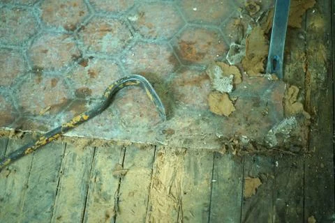 Crowbars tools are on the old floor. Stock Photos