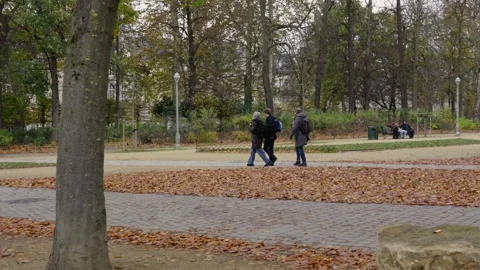 Crowd of 3 friends walking down path in Brussels park with autumn trees and Stock Footage 321807667